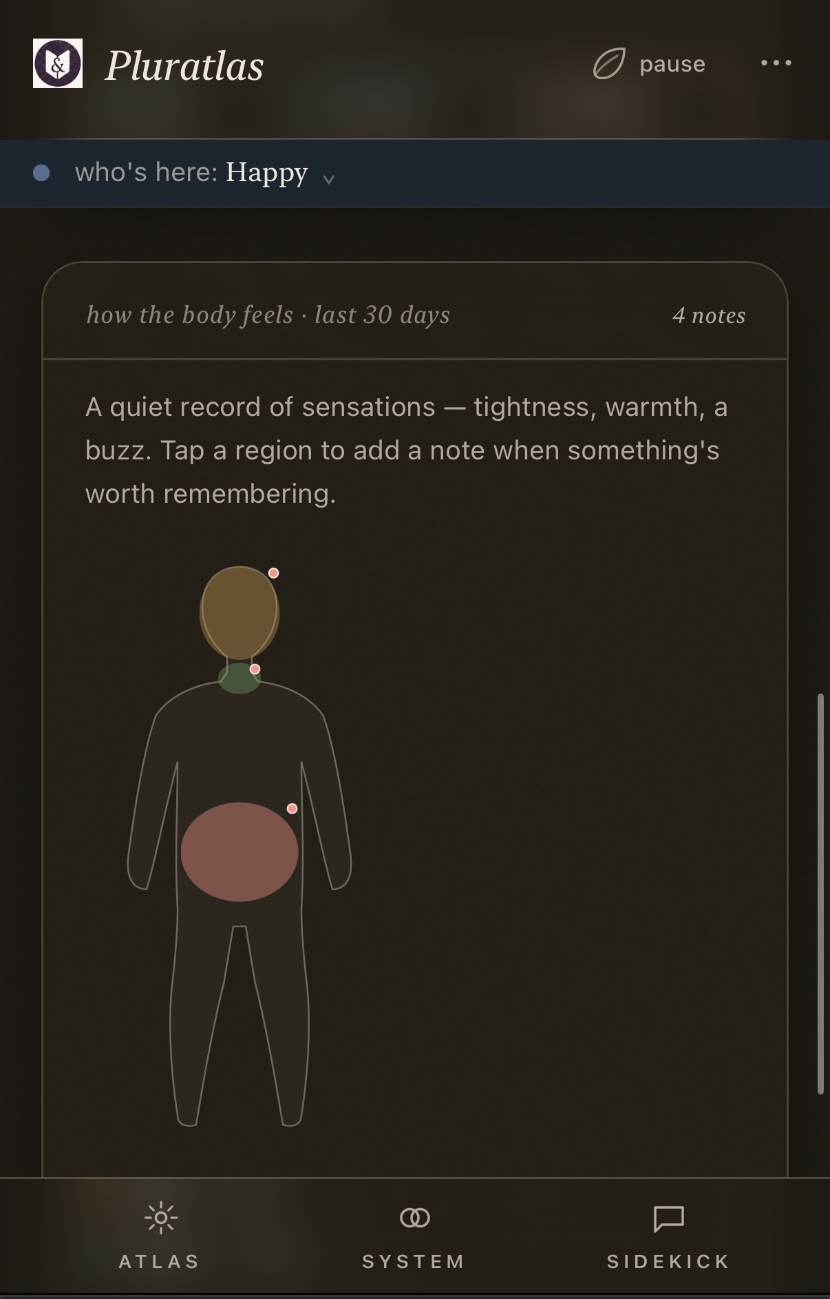 A body map with soft regions noting tightness, warmth, and a buzz.