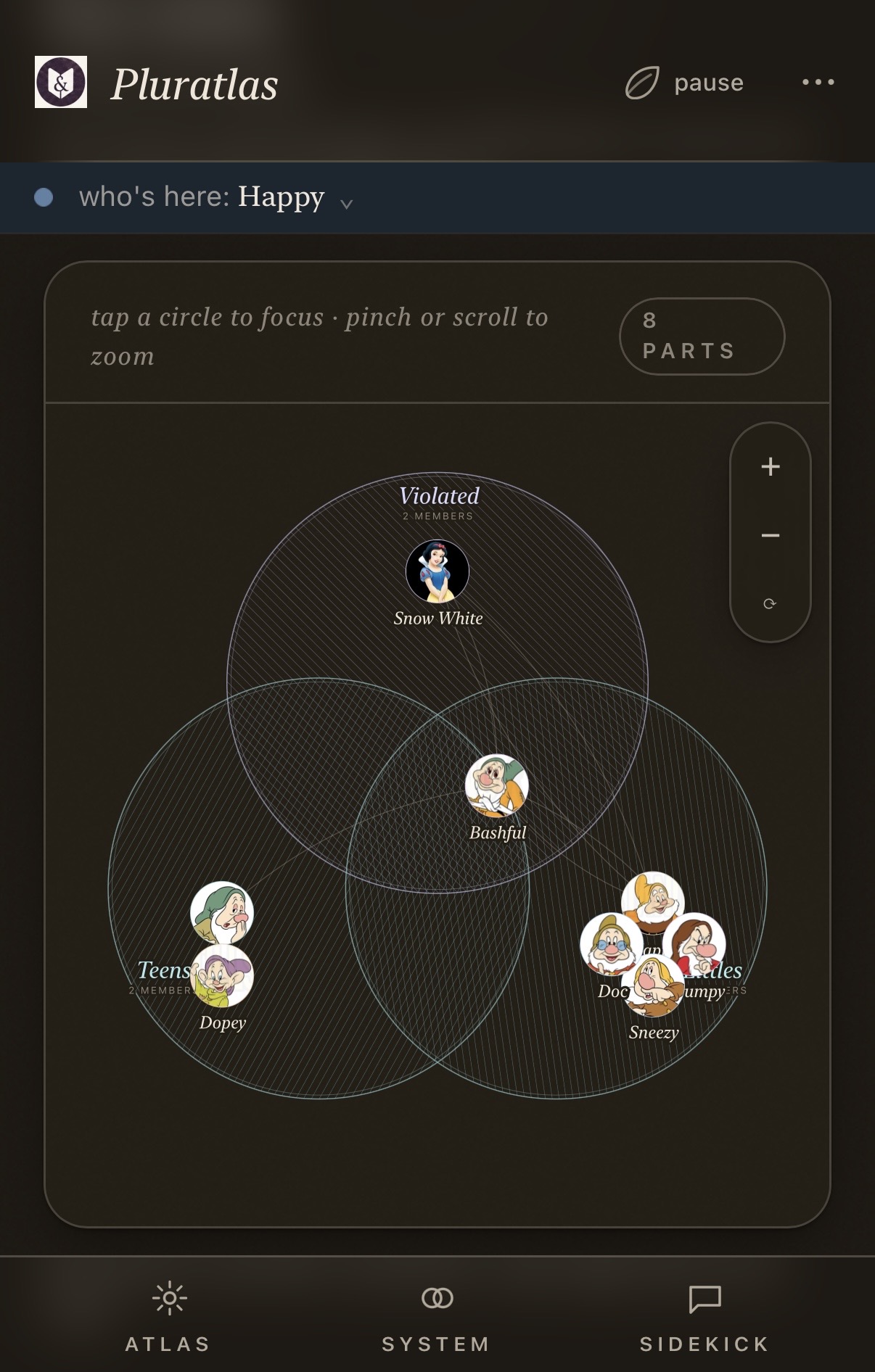 A Venn-style map of system members across overlapping groups.